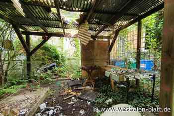 „Lost Places“: Studenten-Hochhaus ist Höxters größter Schandfleck