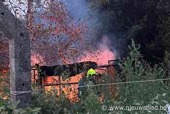 Schuurtje in volkstuinen gaat in vlammen op