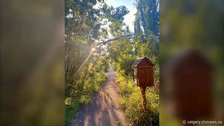 It'll be a hot one, Friday, with showers and thunderstorms in the evening