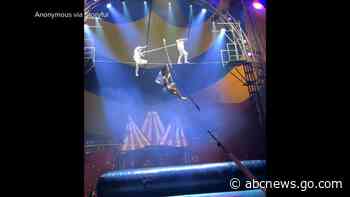 WATCH:  UK circus performer survives horrific fall from tightrope