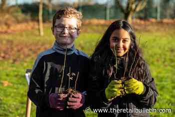Sainsbury’s launches agroforestry initiative in partnership with the Woodland Trust