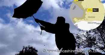 Live updates as Storm Lilian causes fallen trees and travel chaos