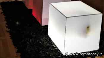 In between "Hadron Art Association" a cura di Maria Laura Perilli