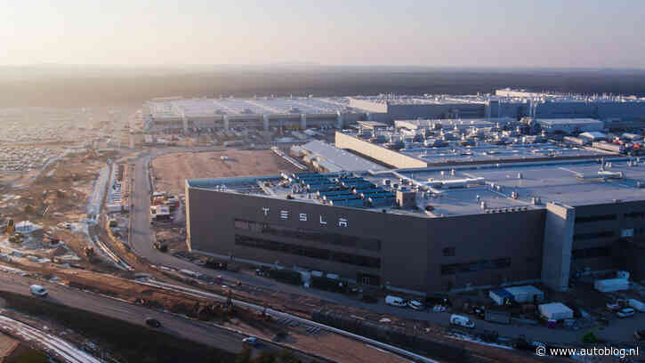 Tesla kapte 500.000 bomen voor Duitse Gigafactory