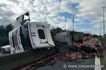 Hinder op afrittencomplex in Merelbeke door gekantelde vrachtwagen met slachtafval