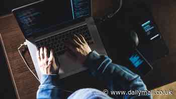 Concern as website that allows people to search for 'suicide partners' is linked to hundreds of deaths