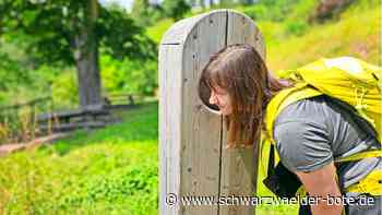Lehrpfad in Wildberg: Weiden- und Wiesenweg klärt über tierische und pflanzliche Nachbarn auf