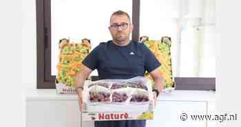 Afwijkend seizoen voor vroege Siciliaanse druiven