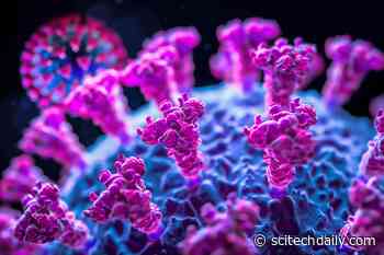 This COVID Mutation Could Explain Your Brain Fog