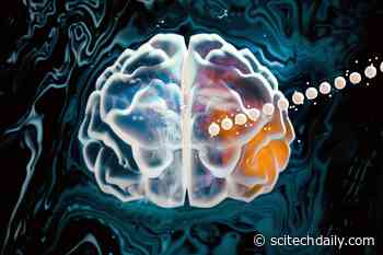 Pong Prodigy: “Hydrogel Brain” Defies Expectations With Deep Learning