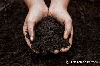 The Hidden Sounds of the Earth: What Our Soil is Telling Us