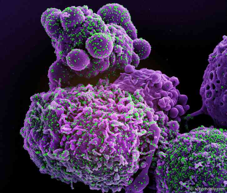 Molecular Trickery: How COVID-19 Silently Sabotages the Human Immune System