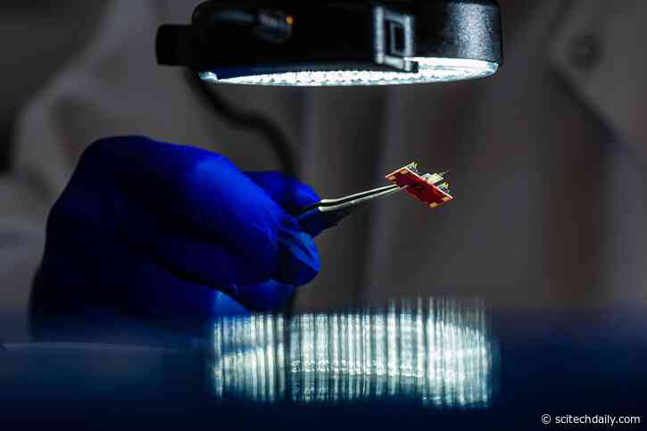 Over a Hundred Times Smaller Than the Width of a Hair – Revolutionary Tiny Sensor Reveals Hidden Neuron Activity