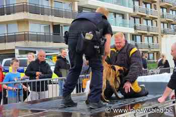 Demonstraties van hondengeleiders en hun viervoeters lokken honderden mensen naar strand