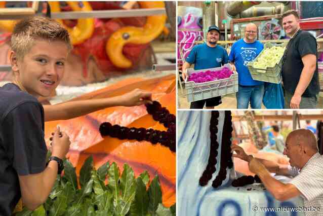 Vrijwilligers prikken honderdduizenden bloemen op corsowagens, ondanks tekort aan dahlia’s: “Vogelzaad, boomschors of haagsnoeisel om gaten te vullen”