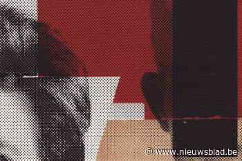 Kunstenaarskoppel stelt tentoon in de Bijl