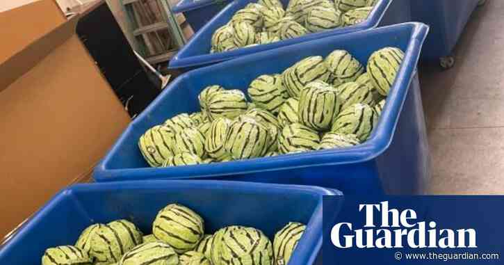 Meth worth nearly $6m found in fake watermelons at US-Mexico border