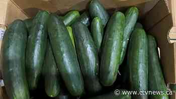 TikTok has fallen hard for yet another grocery store staple