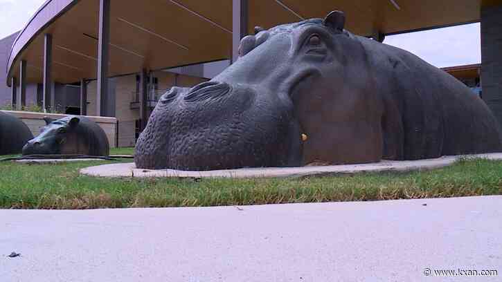 Hutto ISD launches new apprenticeship program this fall to grow new teachers