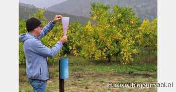 Duurzaam ondernemen als levenswijze