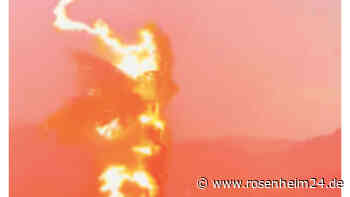 Nur wenige Meter vor Haus: Video zeigt Monster-Blitzeinschlag in Palme