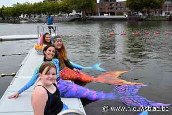 Zeemeerminnen zwemmen in het Keerdok: “Zwemmen met een staart vergt wat oefening, maar het is zalig”