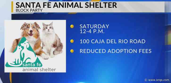 Santa Fe Animal Shelter hosting block party with discounted adoption fees