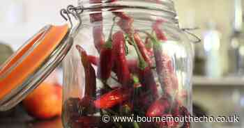 Spicy peppers and portable speaker stolen from car by thieves