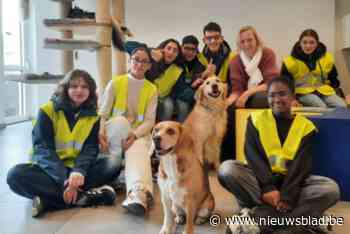 ToekomstAtelierDelAvenir (TADA) en KU Leuven starten pilootproject: “Om jongeren meer kansen op succes te geven”