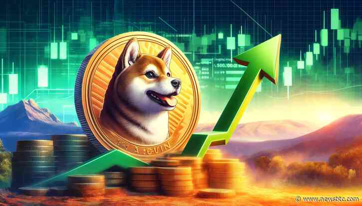 The Shiba Inu Shibarium Suffers 97.6% Crash In Active Accounts, What’s Going On?