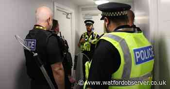 XL Bully seized and man arrested in Hertfordshire after woman injured in attack