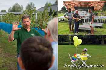 Van een Oost-Vlaamse wijntour tot picknicken voor het goede doel en talloze rommelmarktjes: dit is er dit weekend te doen in het Meetjesland en omstreken