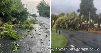 RECAP: Updates as Storm Lilian causes fallen trees and travel chaos
