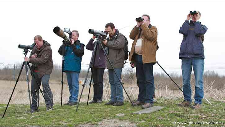 Lelystad - Lelystad populair onder vogelaars, steeds meer én jongere spotters