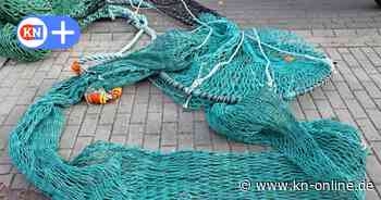 Nord- und Ostsee: Viel weniger Dorsch und Hering als angenommen?