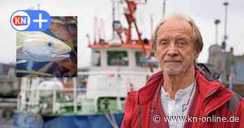 Kiel: Meeresbiologe fordert Fangverbote für Dorsch und Hering