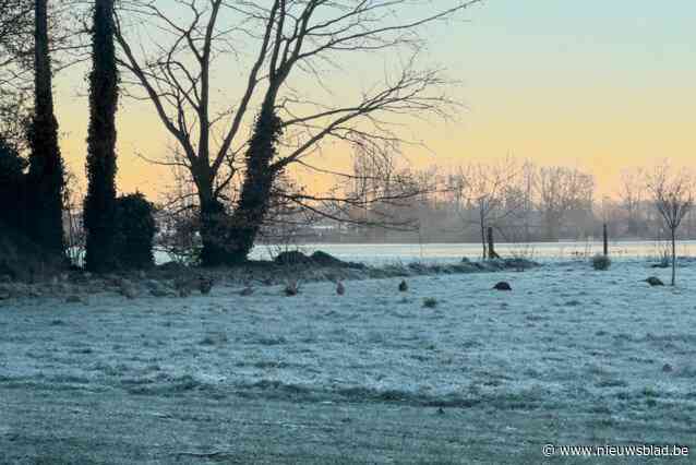 Grootvader van Leo Cautereels honderd jaar geleden bijna vermoord door stropers: heemkring vindt artikeltje in digitaal krantenarchief