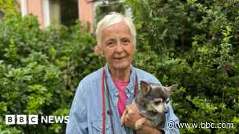 Animal shelter that was set to close could stay open