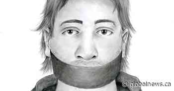 Red Deer RCMP investigate sexual assault from 2022, release sketch of suspect