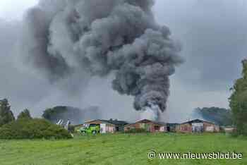Twee stallen volledig uitgebrand bij kippenbedrijf, eigenaar ten einde raad: “Dit is een ware nachtmerrie”