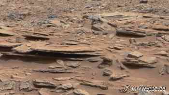 Pinpointing the origins of a Martian rock