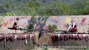 Frust über Null-Sterne-Menü im RTL-Dschungel