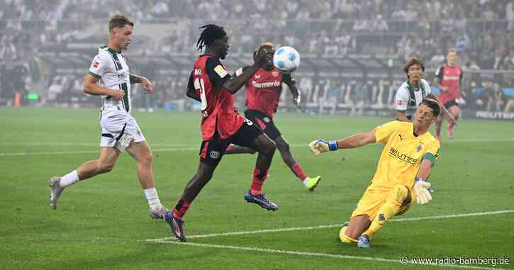 Schon wieder Leverkusener Last-Minute-Wahnsinn