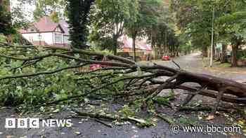 Storm Lilian causes power cuts and travel delays