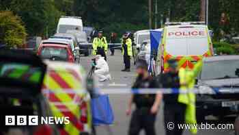 Suspect in woman's stabbing placed under Mental Health Act