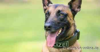 Ruppertsberg: Polizeihund verletzt Baby - Kind wird mit Hubschrauber in Klinik geflogen