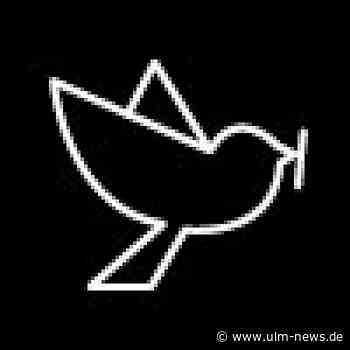 "Nicht perfekt, aber jeden Tag besser" - Städtischer Chatbot "Ulmer Spatz" lernt noch