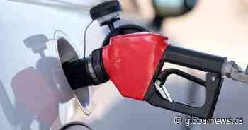 Lower gas prices in Metro Vancouver linked to TMX pipeline: report