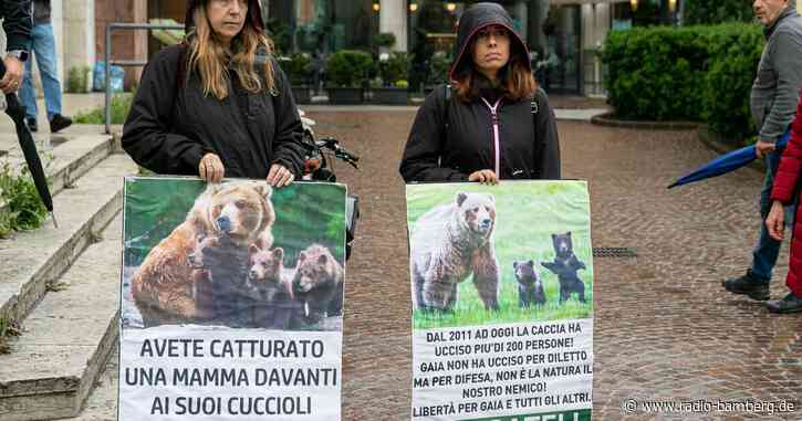 «Problembärin» aus Italien soll noch 2024 in den Schwarzwald