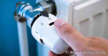 Cut energy bills by 10% this winter using heating expert's simple radiator hack